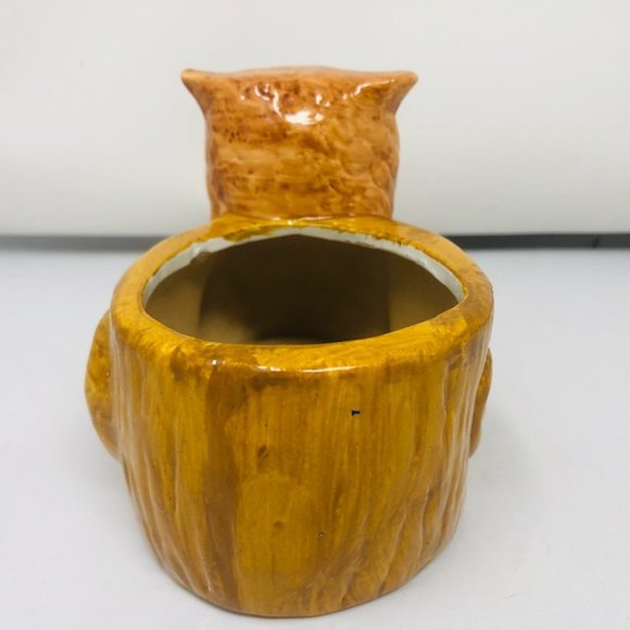 Mini Golden Brown Owl/Owlet Planter - Root Cuttings - Houseplants - Picture 5 of 8